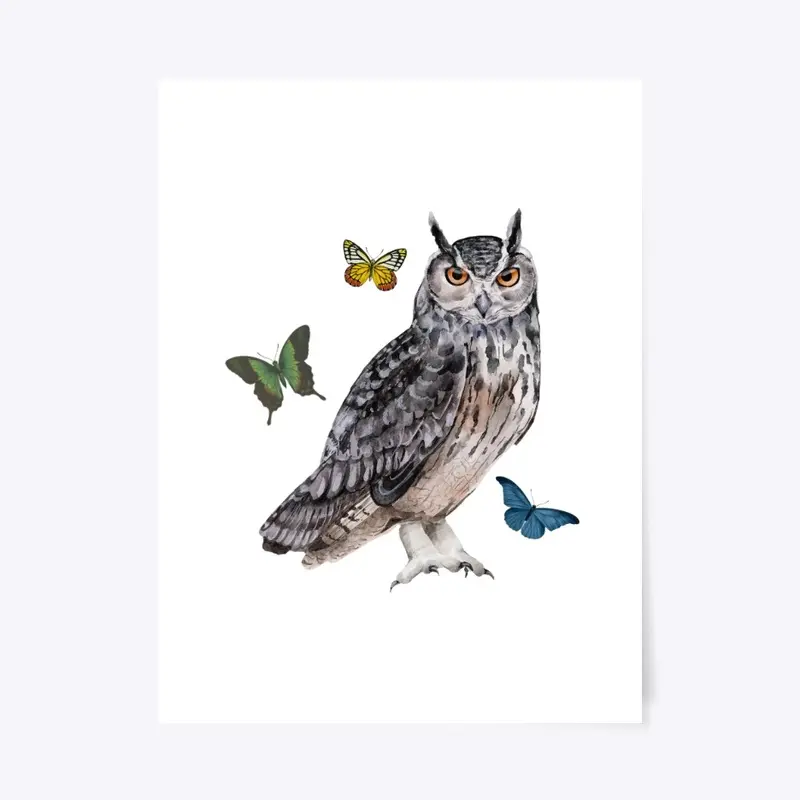 Owl design